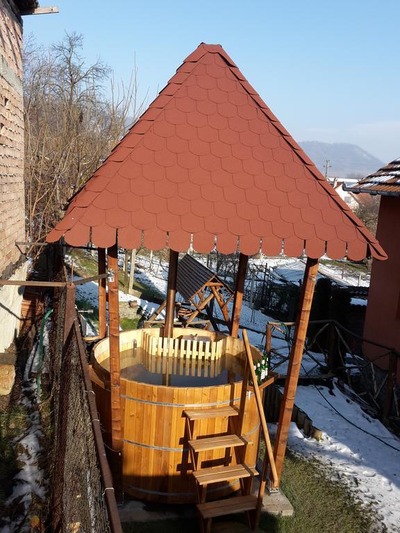 Pension Norbert Segesvár Kültér fotó