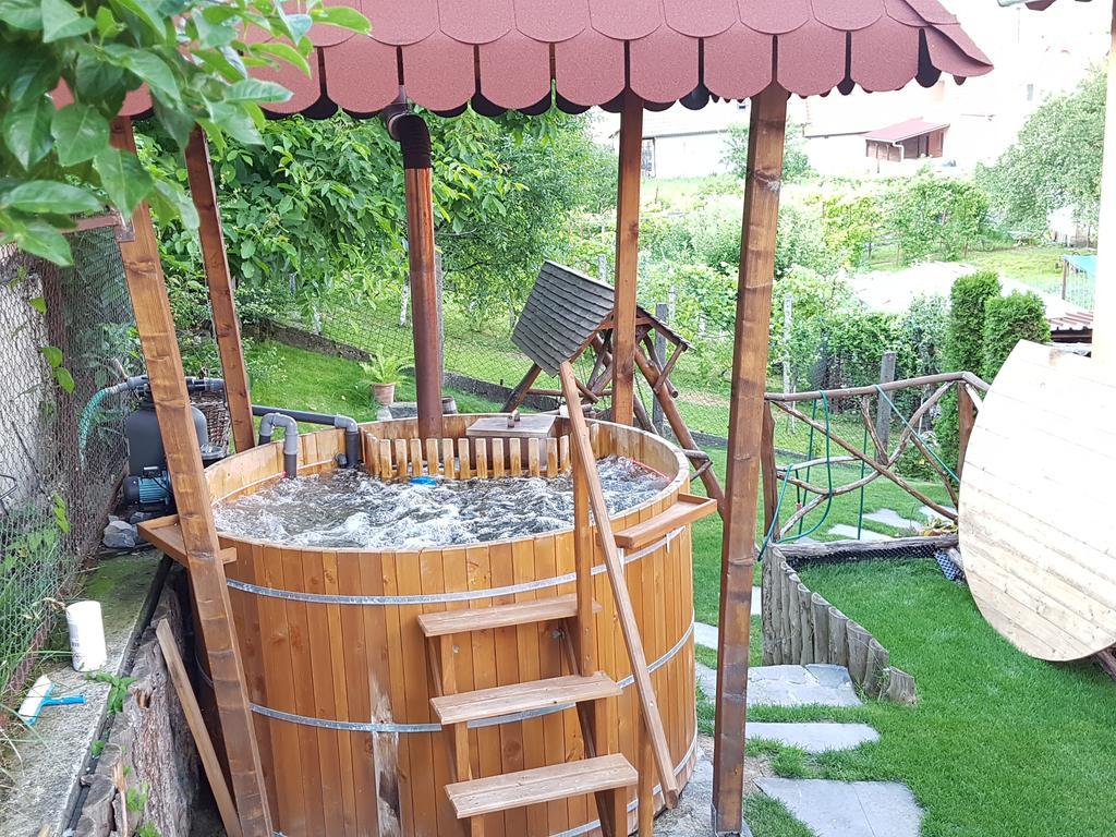Pension Norbert Segesvár Kültér fotó